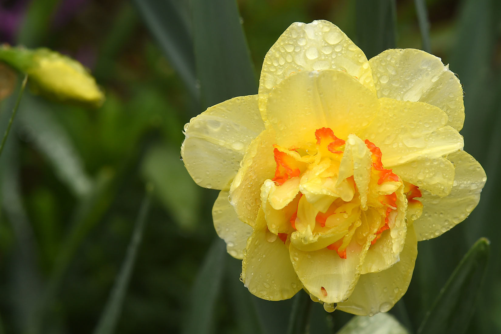 First Day of Spring